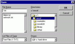 Figure 8: Windows 3.1 File.Open dialog box.