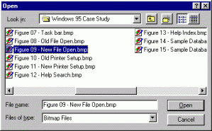 Figure 9: Windows 95 File.Open dialog box.